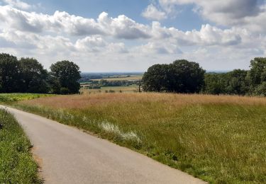 Randonnée Marche Saint-Jans-Cappel - La cordillère des Flandres - Photo