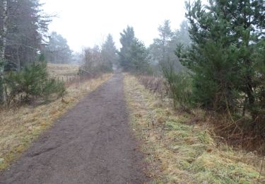 Tocht Stappen Saint-Ours - Puy de Lemptégy - Photo