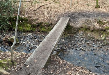 Tocht Stappen Ohey - Familiewandeling bos van Ohey - Photo