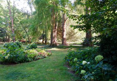 Tocht Stappen Tours (Indre-et-Loire) - Tours - 5.9km 50m 1h15 - 2018 05 13 - Photo