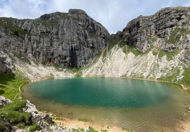 Tocht Stappen Livinallongo del Col di Lana - Lac de Boe - Refuge Kostner - Bec de Roces - Photo