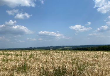 Trail Walking Ciney - Chevetogne   Chapoit  - Photo