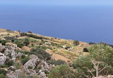 Randonnée Marche Ħad-Dingli - MALTE 2024 / 01 Dingly's Cliffs - Photo