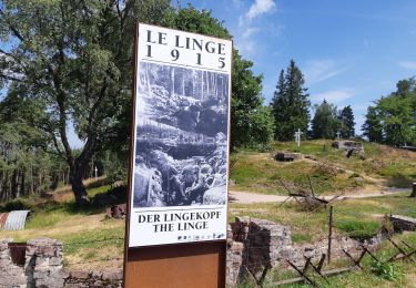 Tocht Stappen Hohrod - Circuit historique 1914-1918 Hohrodberg - Linge - Photo