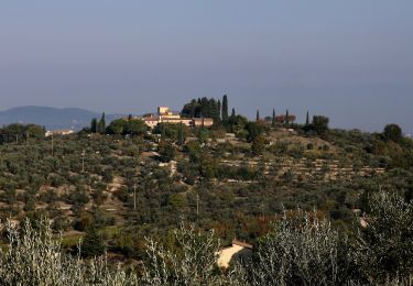 Trail On foot San Casciano in Val di Pesa - IT-SC6 - Photo