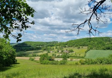 Tour Wandern Pujols - nouaillc 06 05 22 - Photo