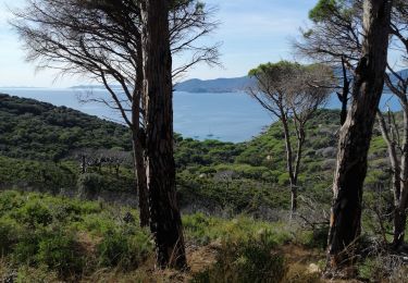 Tocht Stappen Ramatuelle - Cap Taillat  et Cap Lardier - Photo