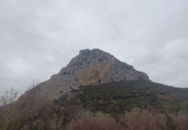 Tour Wandern Volx - VOLX . TOUR DE LA ROCHE AMÈRE 0 L M - Photo