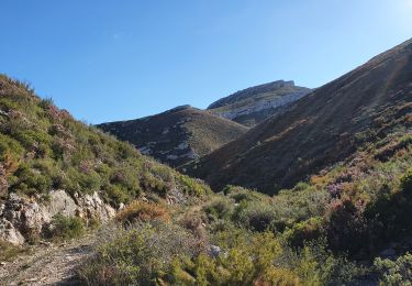 Trail Walking Marseille - Vallon Lantin, crêtes de Carpiagne, Vallon Luinant - Photo