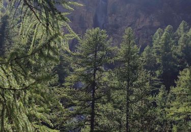 Trail Walking Ceillac - Lac Miroir avec Isao - Photo