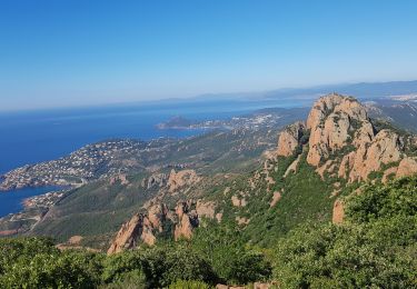 Tocht Stappen Saint-Raphaël - 29 juin 2020 - Photo