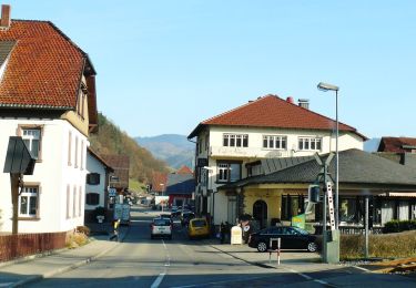 Excursión A pie Oberharmersbach - Oberharmersbach - Kreuzsattel - Photo