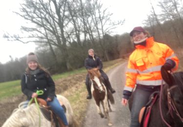 Tocht Paardrijden Domèvre-sur-Vezouze - Jess elo Kenzo Julie migneville  - Photo