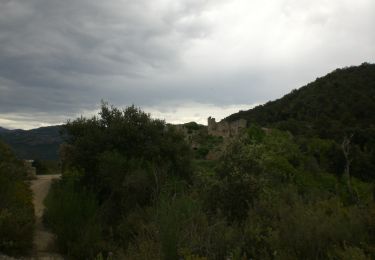 Trail On foot Sant Vicenç de Castellet - SL-C 61 A Sant Jaume de Vallhonesta pel camí dels Maquis - Photo