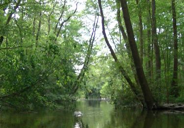 Tour Zu Fuß Bösdorf - Vierer See - Photo