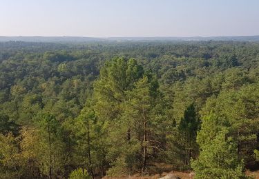 Tour Wandern Le Vaudoué - les 25 bosses fontainebkeau - Photo