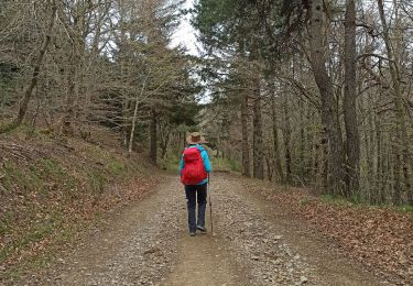 Trail Walking La Bastide-Puylaurent - Stevenson J5 : la Bastide Puylaurent - Chasseradès - Photo