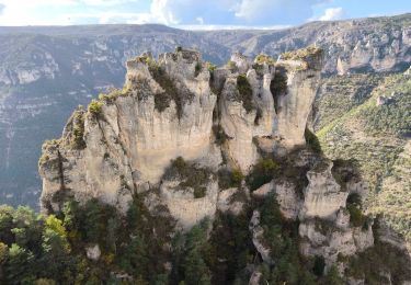 Randonnée Marche Massegros Causses Gorges - La Bourgarie  - Photo