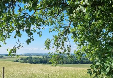 Tour Wandern Nérac -  ARAV Nerac cassanel - Photo