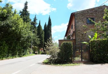 Percorso A piedi Greve in Chianti - IT-G4 - Photo