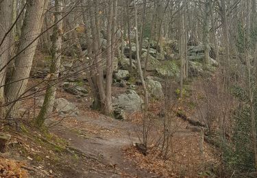 Tour Wandern Dampierre-en-Yvelines - sortie 23-01-24 - Photo