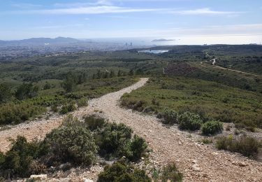 Trail Walking Marseille - Grande étoile  - Photo