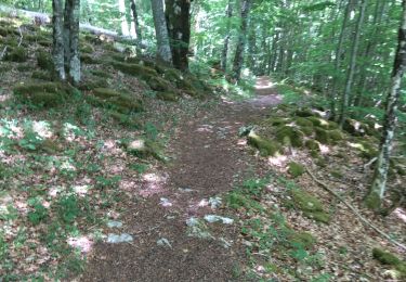 Trail Walking Presles - 38 repérage grotte balme riendre - Photo