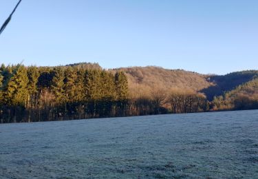 Tour Wandern Wellin - Randonnée Wellin, forêt St.Hubert  - Photo