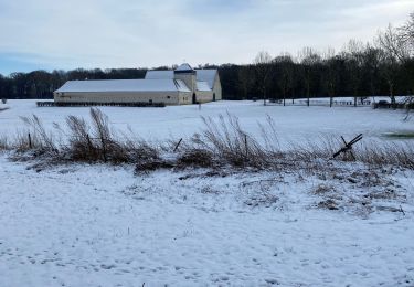 Tocht Stappen Bevekom - Bruyère neige - Photo