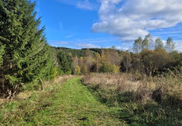 Tour Wandern Feitweiler - rando fauvillers 22-10-2024 - Photo