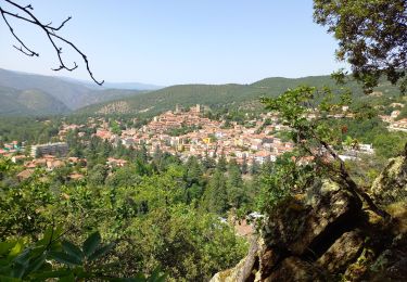 Randonnée Marche Vernet-les-Bains - Pic de la Pena - Photo