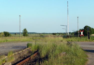 Excursión A pie Meldorf - Wanderwege in und um Meldorf Tour 17 - Photo