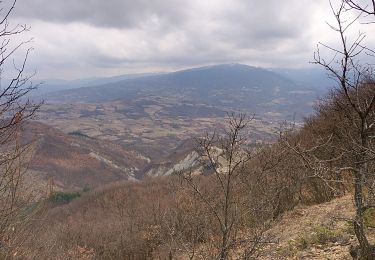Randonnée A pied Garbagna - Garbagna – Monte Trassa - Photo