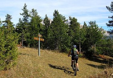 Trail Mountain bike Veynes - VTT35 - Cuberselle - Photo