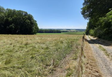 Randonnée Marche Tinlot - Linchet - Photo