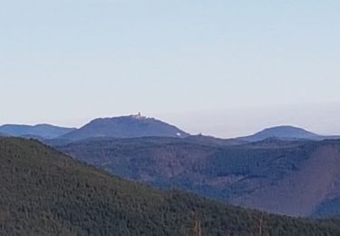 Randonnée Marche Ammerschwihr - Trois-Epis - château du Petit Hohnack - Photo