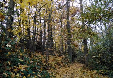 Tocht Stappen Luik - conlonster - Photo