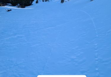 Excursión Esquí de fondo Villar-Saint-Pancrace - ravin des barres - Photo