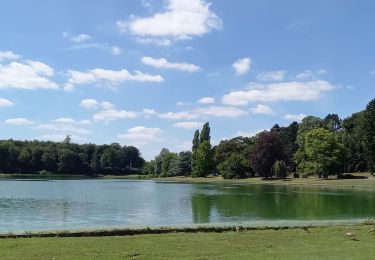 Tocht Wegfiets Watermaal-Bosvoorde - 2020.07.29.V - Photo