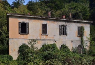 Tocht Te voet Dogna - Sentiero Umberto Pacifico - Photo