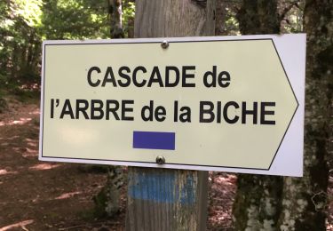 Randonnée Marche Brezons - Cascade de la vallée de Bretons - Photo