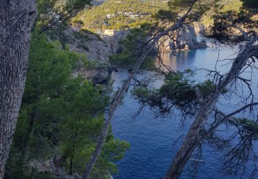 Trail Walking Sóller - détour par le sentier d'escalade Mallorca des Baléares - Photo