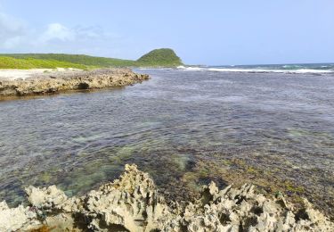 Tocht Stappen Saint-François - Guadeloupe - Anse à la Baie à Porte d'Enfer - Photo