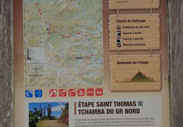 Tour Wandern Poindimié - GR Nord - St Thomas au portail Totem (Nouvelle Calédonie) - Photo