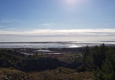 Trail Walking Gruissan - tour de l'île Saint Martin  - Photo