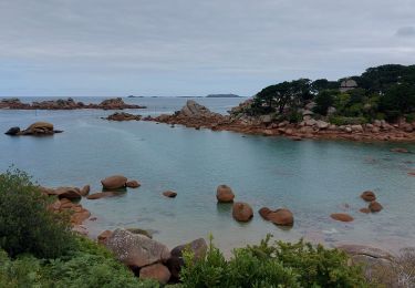 Tocht Stappen Perros-Guirec - 20230720 Ploumanach - Photo