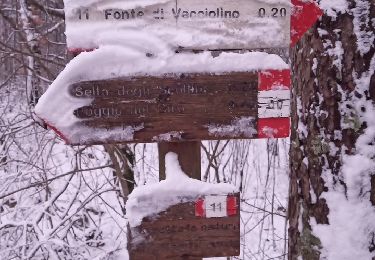 Trail On foot Sesto Fiorentino - Sentiero CAI 7B - Sez. Sesto Fiorentino - Photo