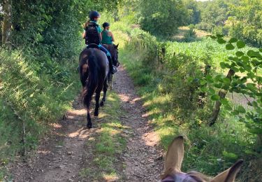 Percorso Equitazione Montsauche-les-Settons - 1er jour lac des settons  - Photo