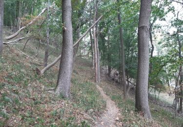 Tocht Stappen Aywaille - petite heure des gates - Photo