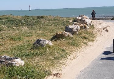 Trail Walking Rivedoux-Plage - ile de ré  litoral - Photo